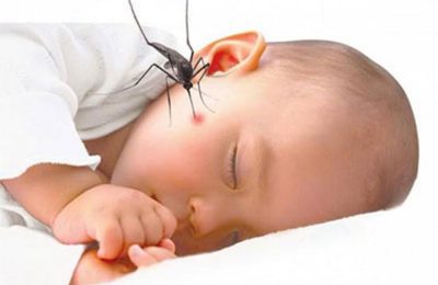 12 mẹo đơn giản trị muỗi đốt cho bé